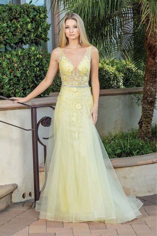 Illusion Neckline Prom Dress