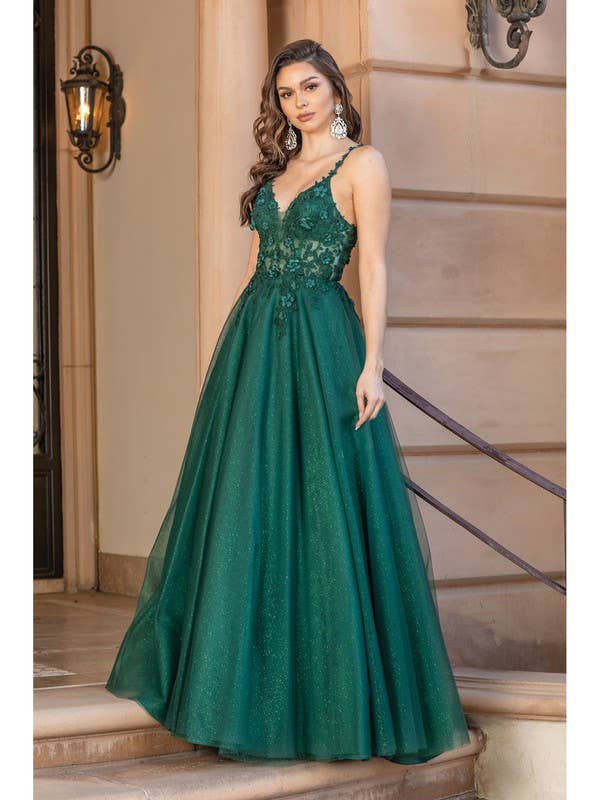 Tulle Ball Gown Beaded Lace Bodice Back Prom Dress