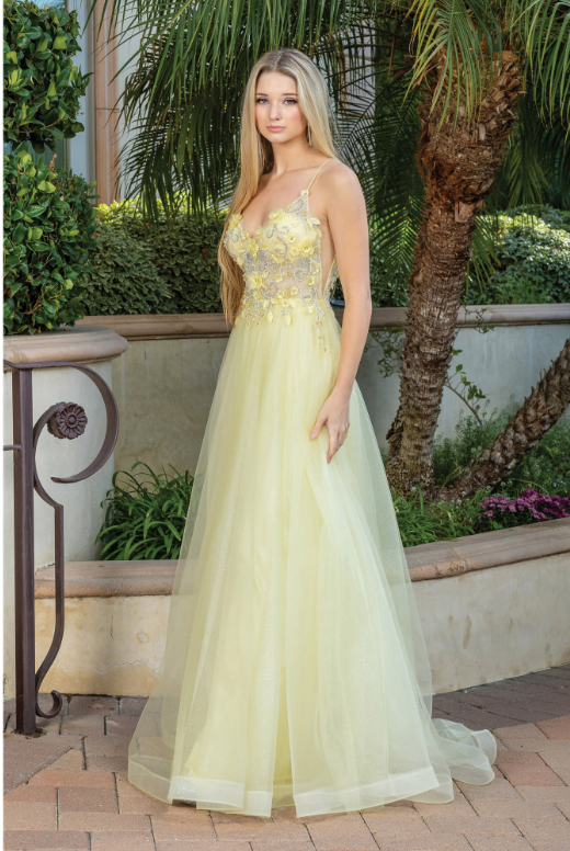 Elegant A-Line Evening Gown with Embroidered