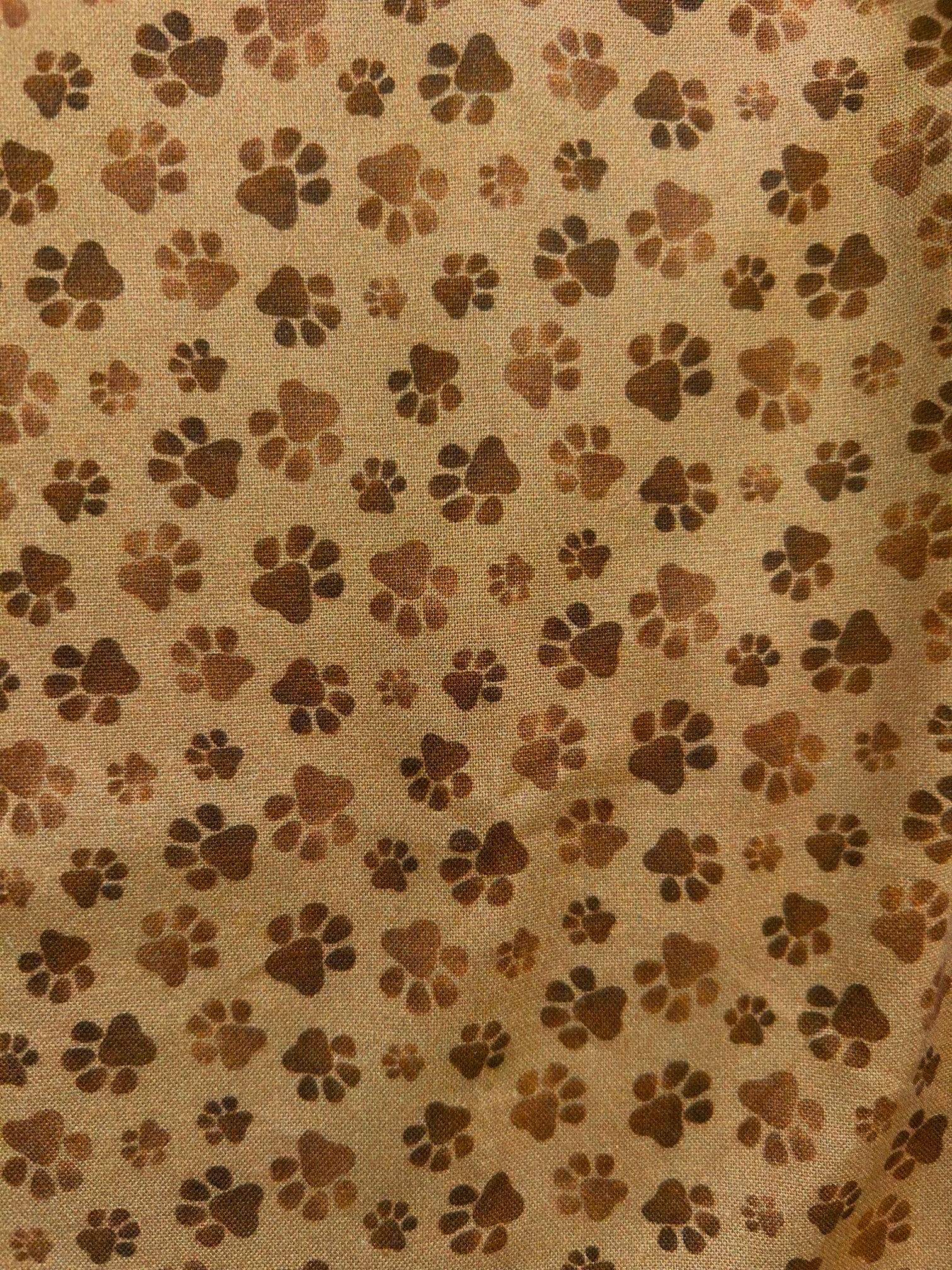 Paw Print Bow Top