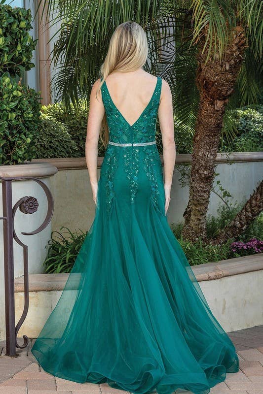 Illusion Neckline Prom Dress