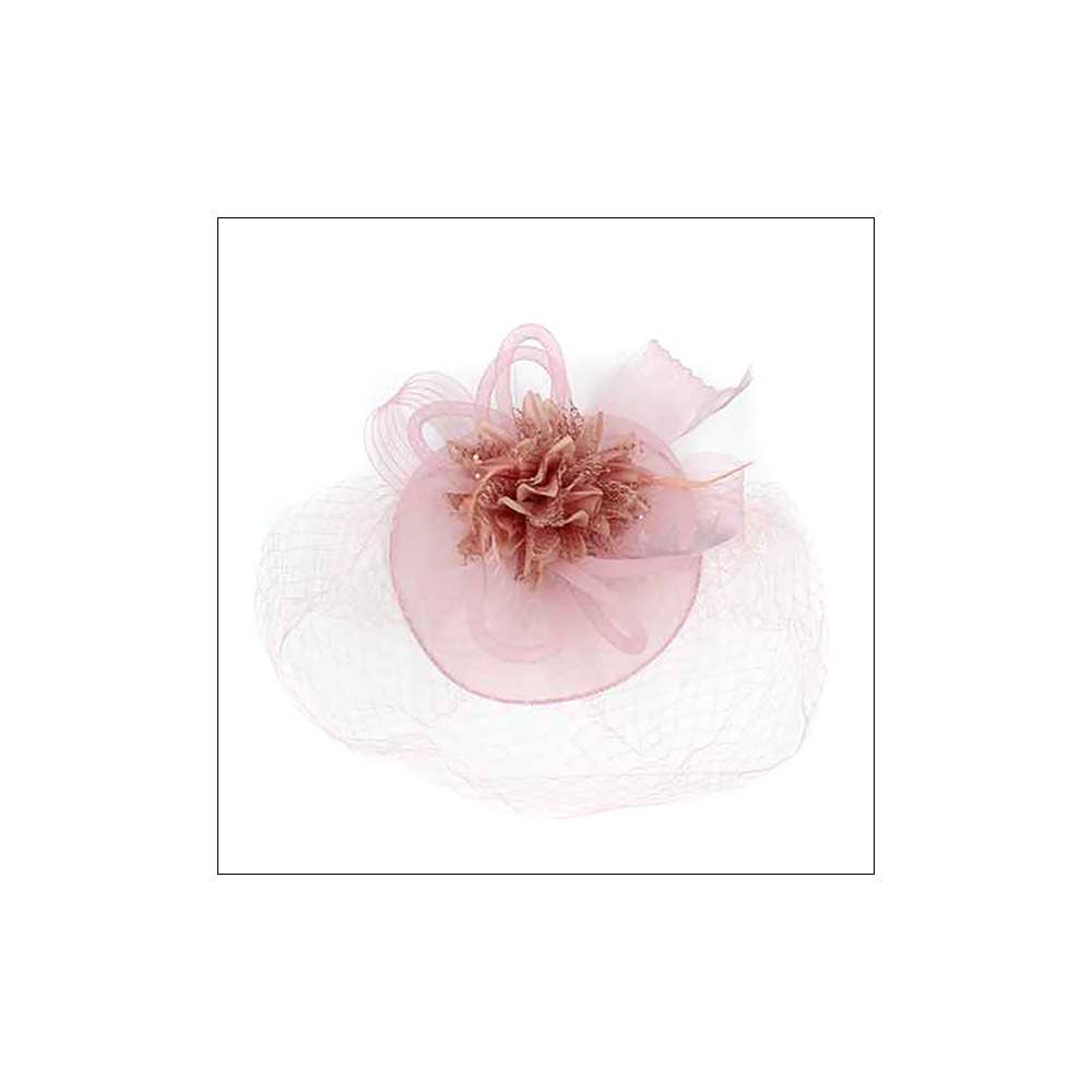 Bow Flower Feather Mesh Fascinator / Headband