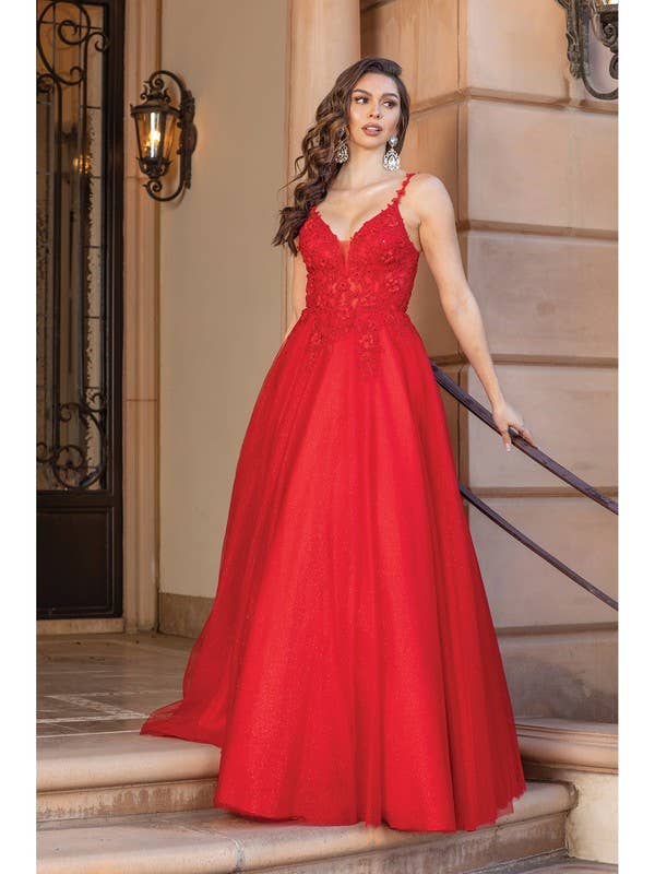 Tulle Ball Gown Beaded Lace Bodice Back Prom Dress