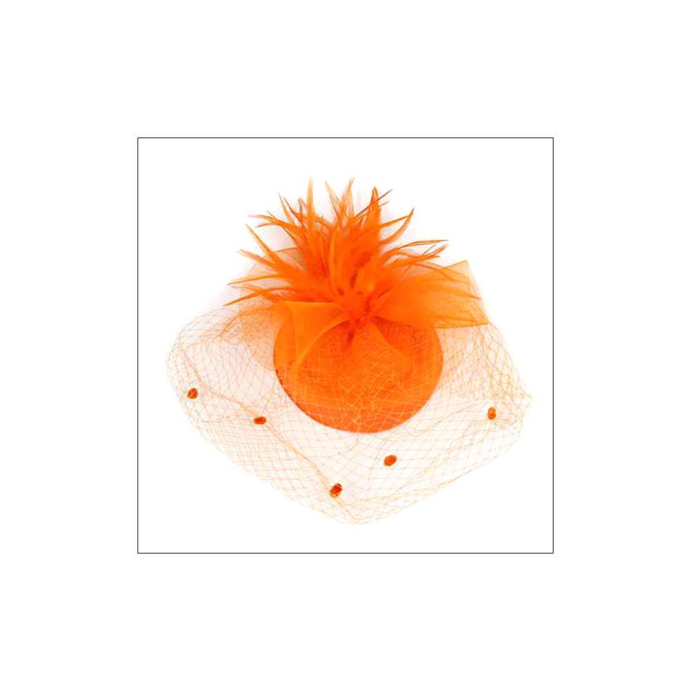 Feather Mesh Fascinator / Headband
