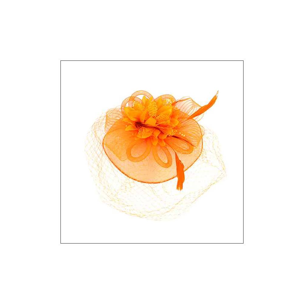 Bow Flower Feather Mesh Fascinator / Headband