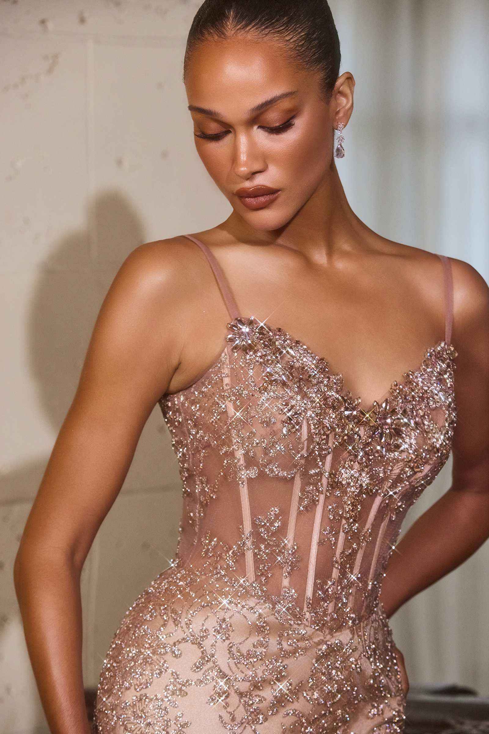 Ladivine J889 Hand Placed Applique Shimmering Sequin Fitted Gown