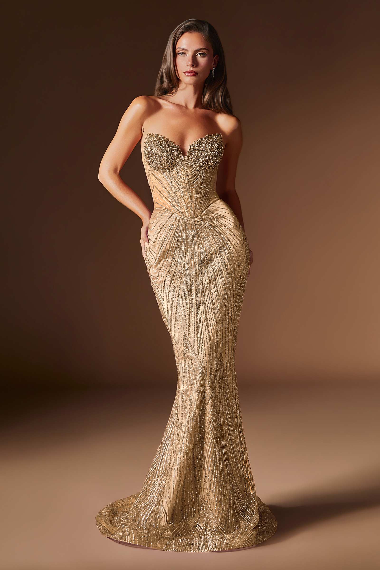 Ladivine J903 Lavish Crystal Encrusted Sheer Corset Bodice Fitted Gown