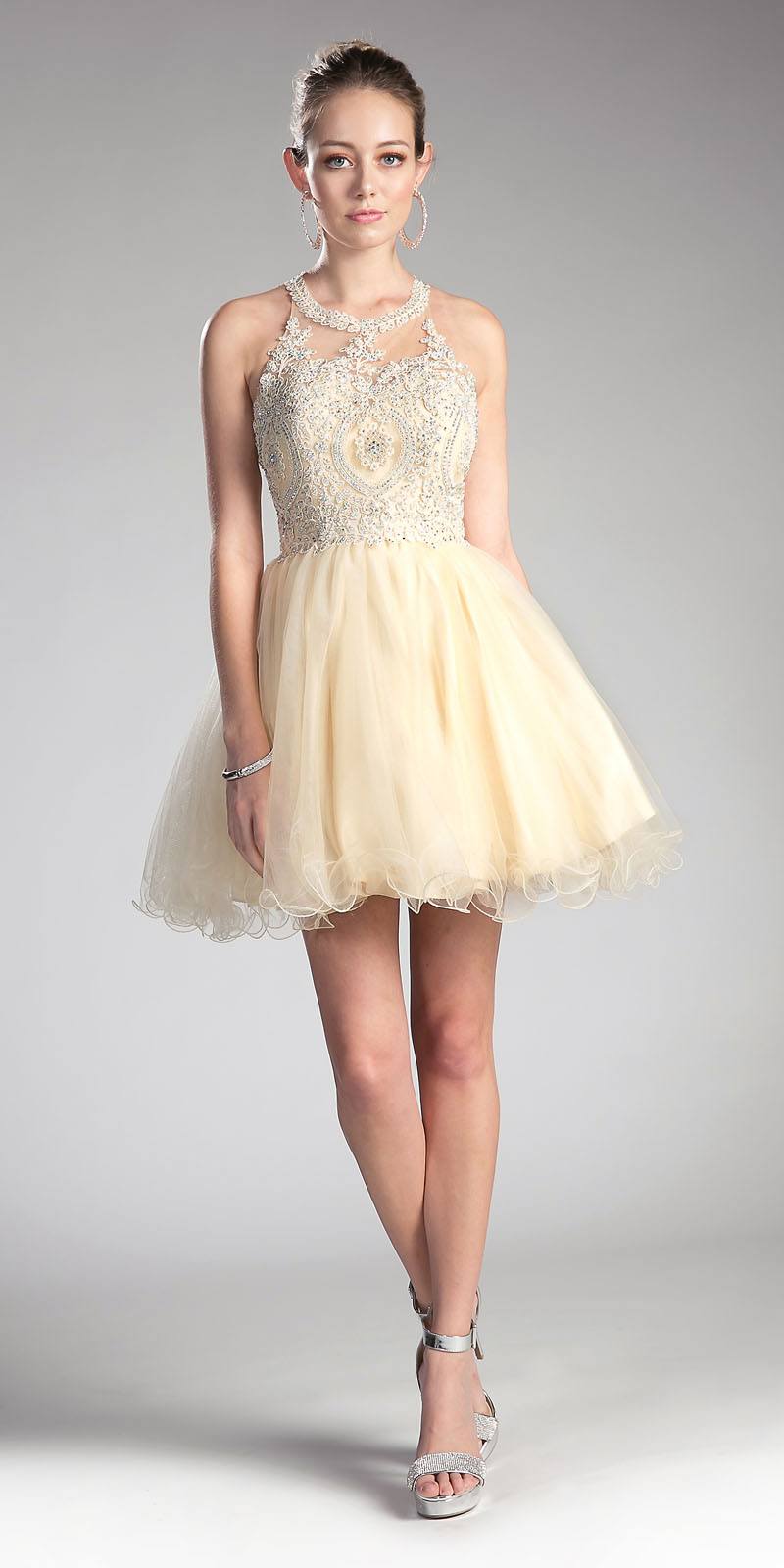 Ladivine UJ0119 Short Appliqued Bodice Halter Tulle Skirt Dress