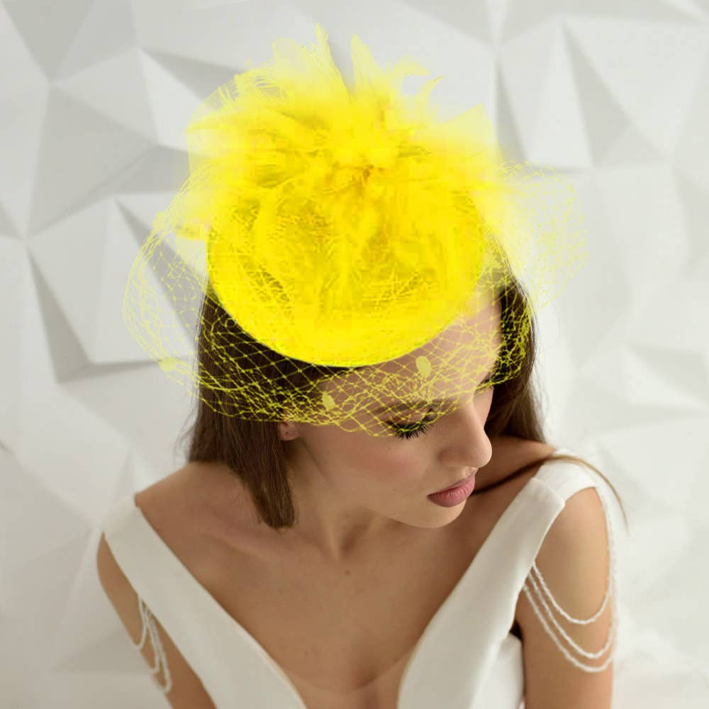 Feather Mesh Fascinator / Headband