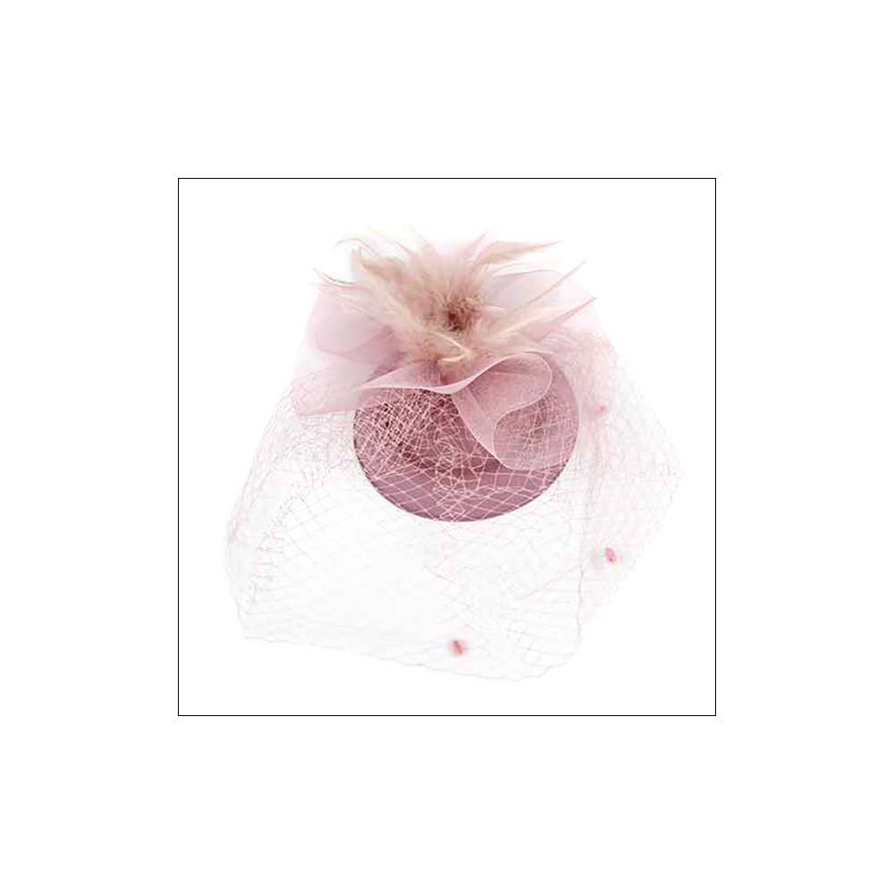 Feather Mesh Fascinator / Headband