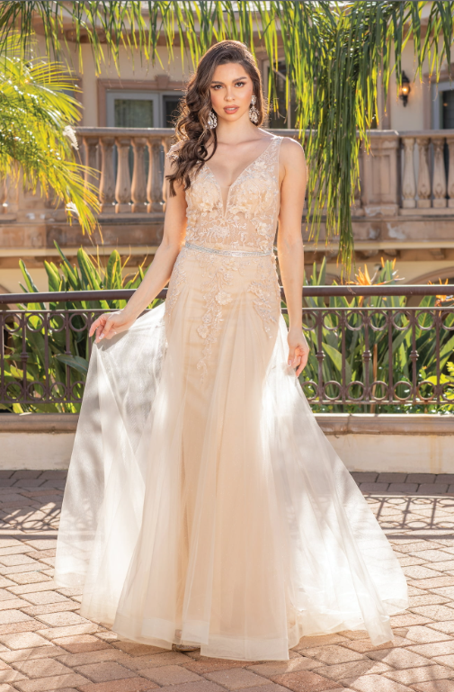 Illusion Neckline Prom Dress