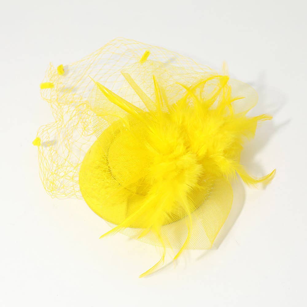 Feather Mesh Fascinator / Headband